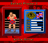 Prince Naseem Boxing Screenthot 2